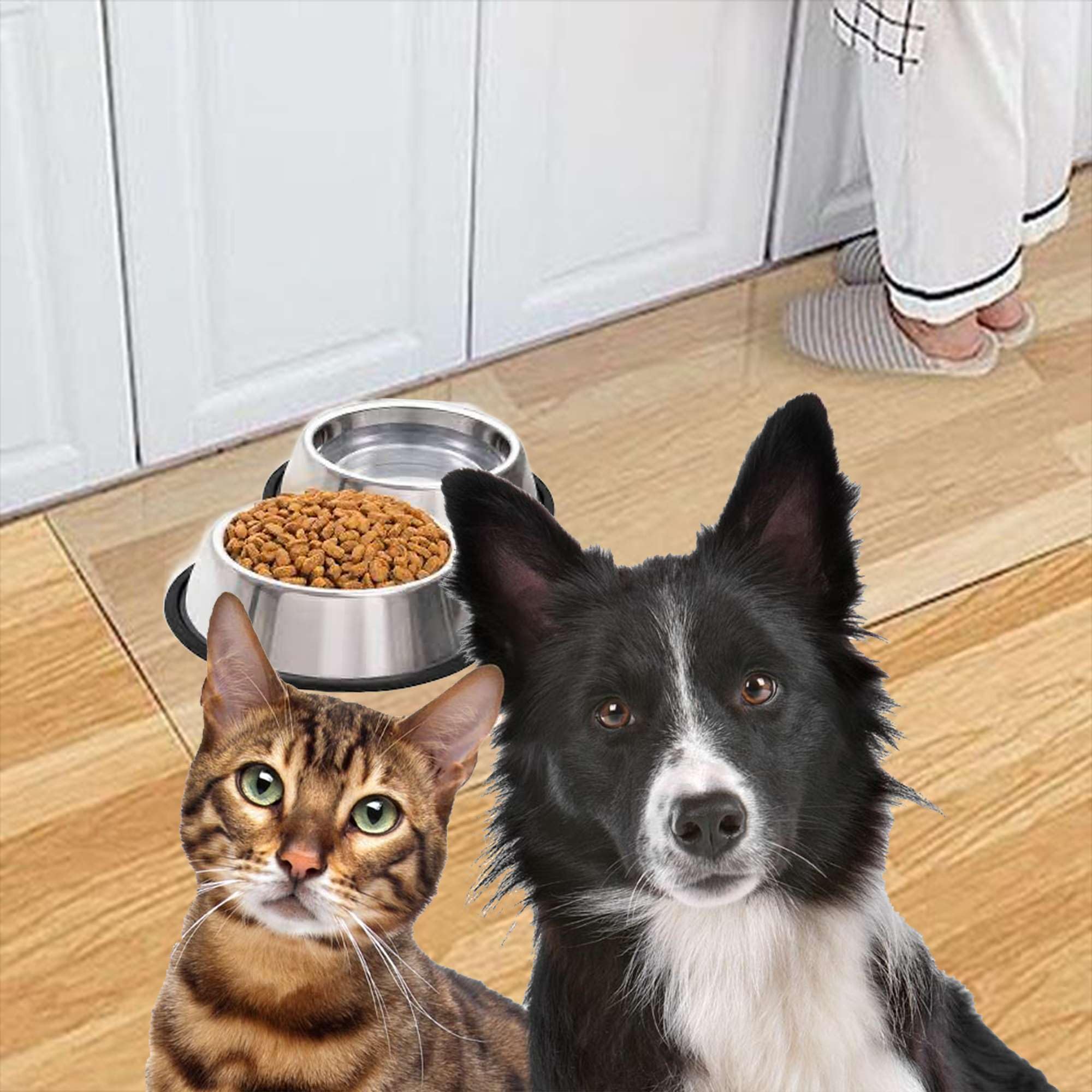 Artwelt Futtermatte Folie Transparent Bodenschutzmatte Wiederaufbereitet Napfunterlage in Verschiedenen Größen Erhältlich für Katze oder Hund (50cm X 60cm)